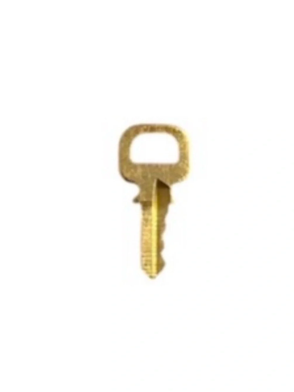 Louis Vuitton Key #303